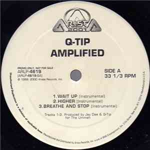 Q-Tip - Amplified (Instrumentals)
