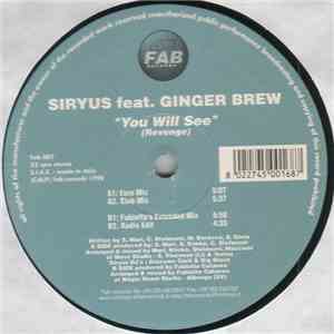 Syrius Feat. Ginger Brew - You Will See