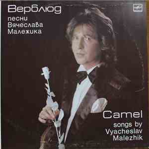 Вячеслав Малежик / Саквояж - Верблюд