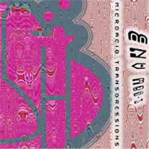 Env Mod-Z - Microacid Transgressions EP