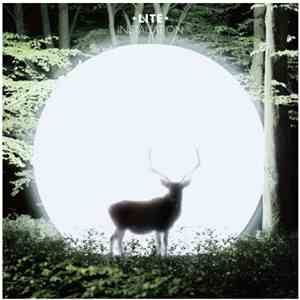 Lite - Installation