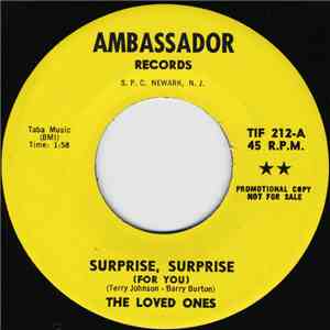 The Loved Ones - Surprise, Surprise (For You)
