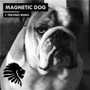 Alan Fitzpatrick - Magnetic Dog