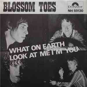 Blossom Toes - What On Earth