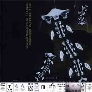 Evil Moisture / Wehwalt - Stream Of Unconscious Volume 3
