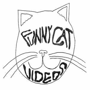 Funny Cat Videos - 1st recordings
