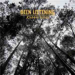 Johnny Flynn - Been Listening