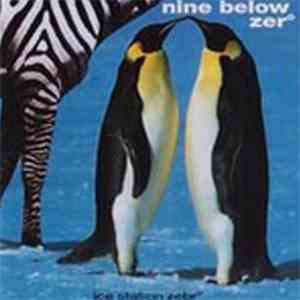 Nine Below Zero - Ice Station Zebro