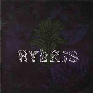 Hybris  - Hybris