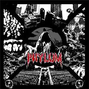 Phylum - Divisions