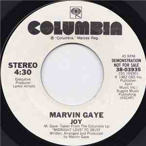 Marvin Gaye - Joy