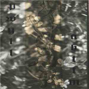 Pwyll / ...And Brought Them To Mount - Pwyll / abttm