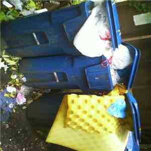 Rubella - Phil's Wall Of Recycling