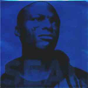 Seal - Waiting For You