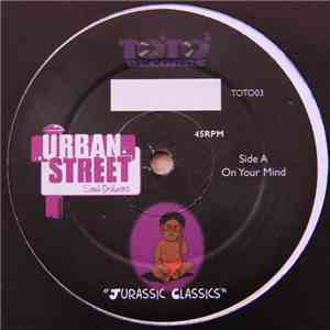 Urban Street Soul Orchestra - A Collective Of Urban Minded People With A Soulful Message To THe World