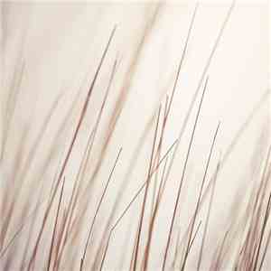 Porya Hatami - Shallow Remixed