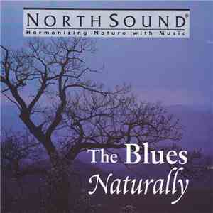 Bob Baldwin - The Blues Naturally