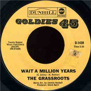 The Grassroots - Wait A Million Years / The River Is Wide