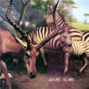 Beware Of Safety - Leaves/Scars