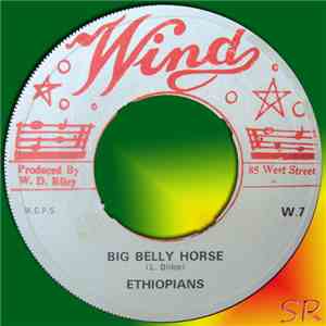 The Ethiopians - Big Belly Horse