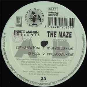 Enrico Mantini - The Maze