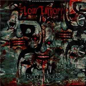 Low Entropy - Rough Tracks