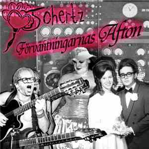 50hertz - Förväntningarnas Afton
