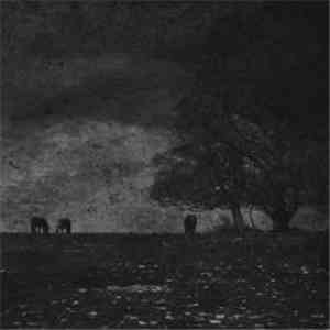 Échancrure / Atrabilis - MMXI
