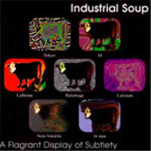 Industrial Soup - A Flagrant Display Of Subtlety