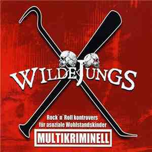 Wilde Jungs - Multikriminell - Rock 'N' Roll Kontrovers Für Asoziale Wohls ...