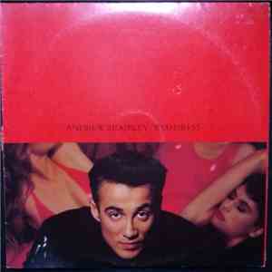 Andrew Ridgeley - Red Dress