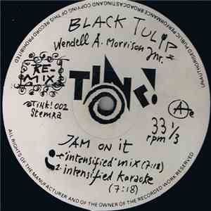 Black Tulip & Wendell A. Morrison Jnr. - Jam On It (Dance Your Worries Away ...