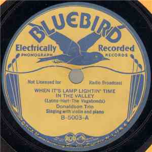 Donaldson Trio - When It's Lamp Lightin' Time In The Valley / The Hills Of ...