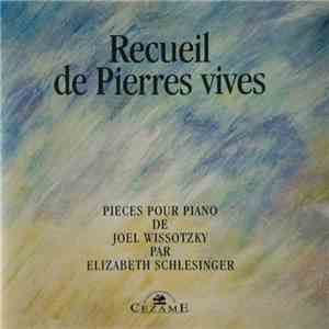 Joël Wissotzky Par Elizabeth Schlesinger - Recueil De Pierres Vives