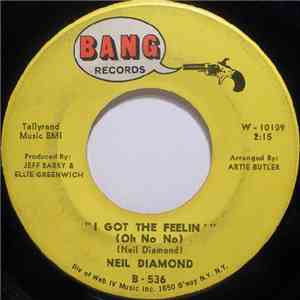 Neil Diamond - I Got The Feelin' (Oh No No)