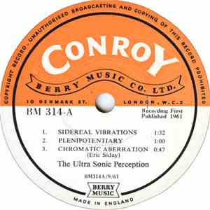 The Ultra Sonic Perception - Sidereal Vibrations