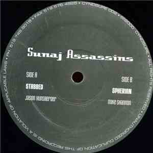 Jason Hunsberger / Mike Shannon - Sunaj Assassins