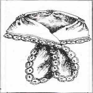 Symphonique Shoppe - Untitled