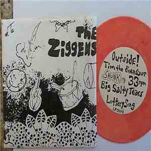 The Ziggens - Big Salty Tears