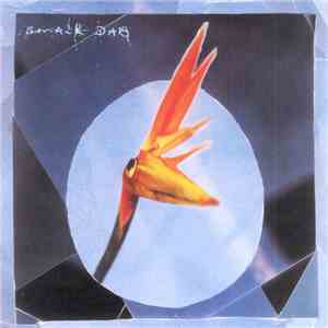 Smack Dab - Majestic Root