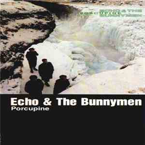 Echo & The Bunnymen - Porcupine