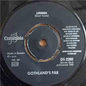 Gothland's Får - Linnéa
