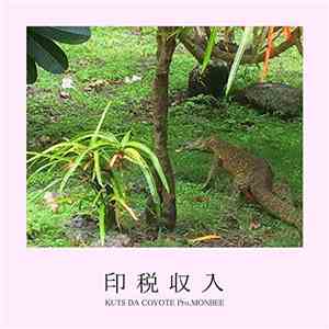 Kuts Da Coyote - 印税収入