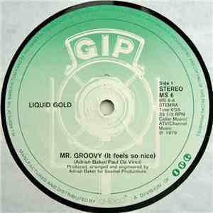 Liquid Gold - Mr. Groovy (It Feels So Nice)