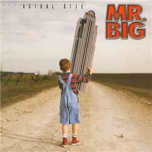 Mr. Big - Actual Size