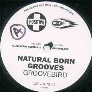 Natural Born Grooves - Groovebird
