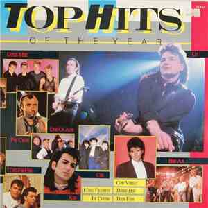 Various - Top Hits Of The Year