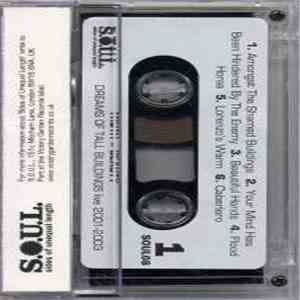 Dreams Of Tall Buildings - Truth = Beauty