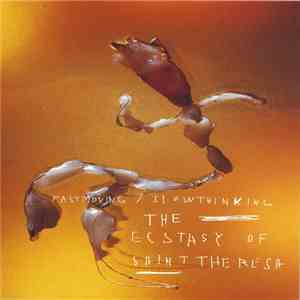 The Ecstasy Of Saint Theresa - Fastmoving / Slowthinking