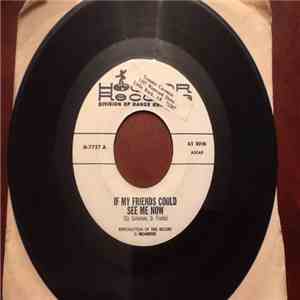 Unknown Artist - If My Friends Could See Me Now